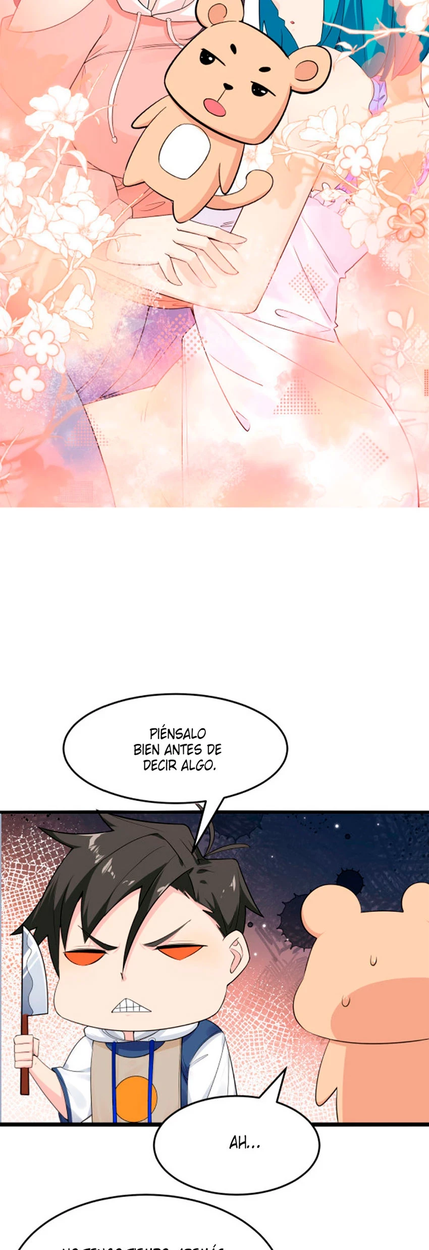 Página 17