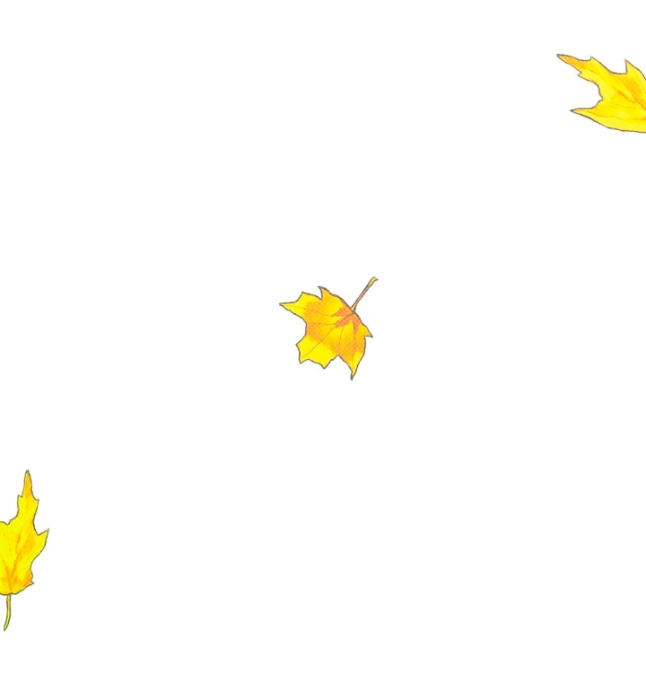 Página 56