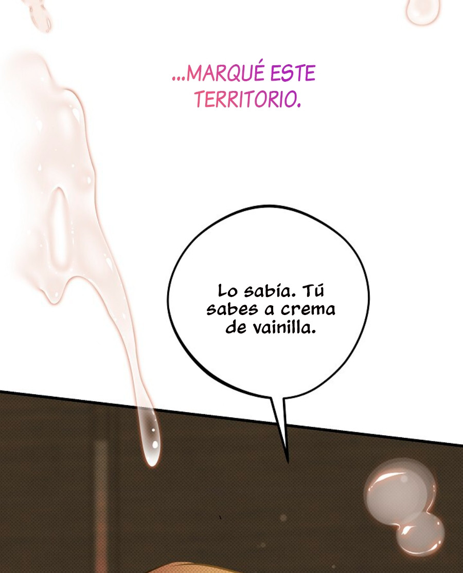 Página 46