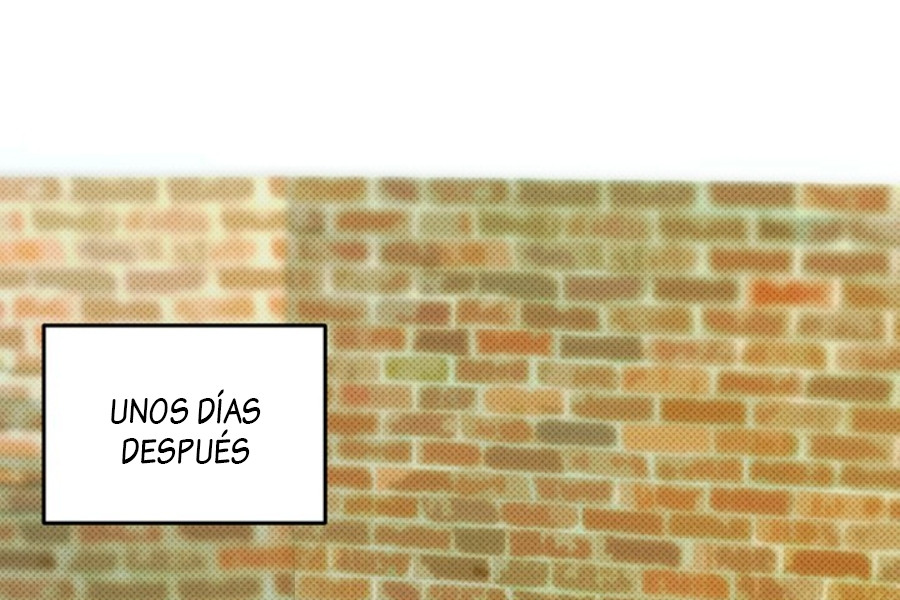 Página 44
