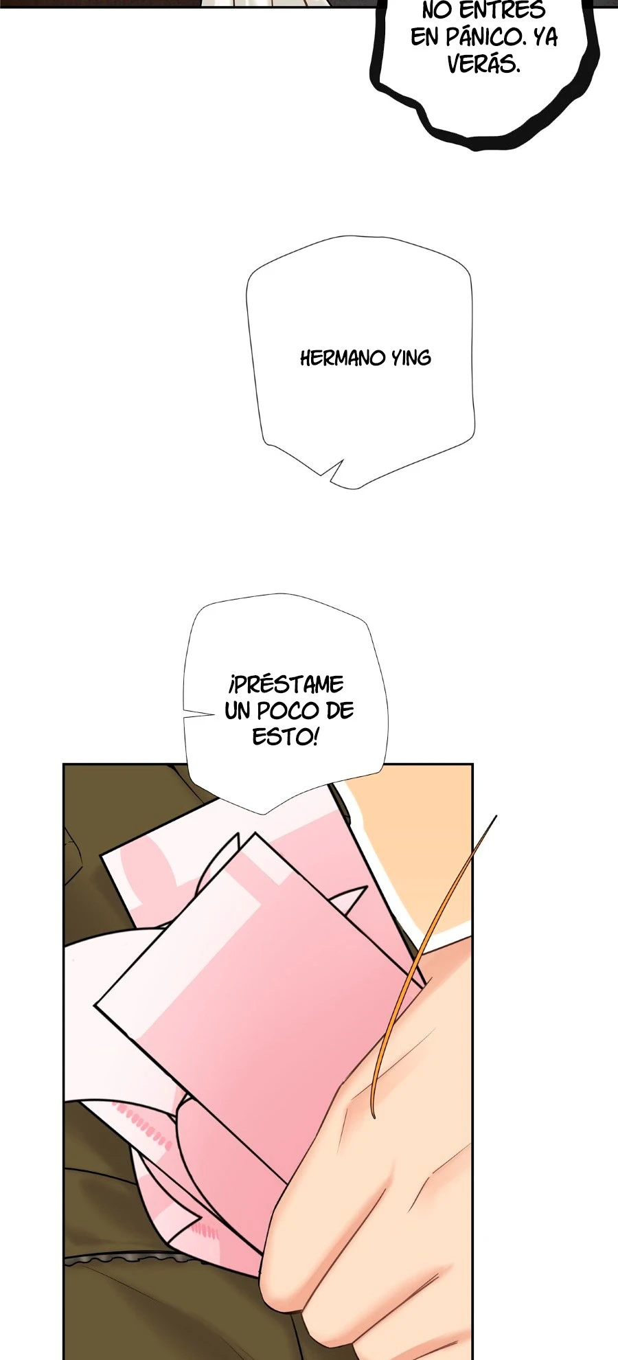 Página 6
