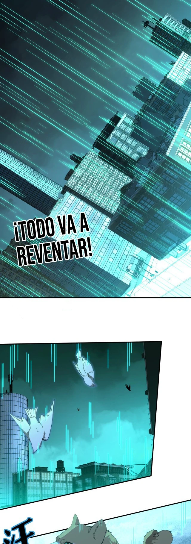 Página 14