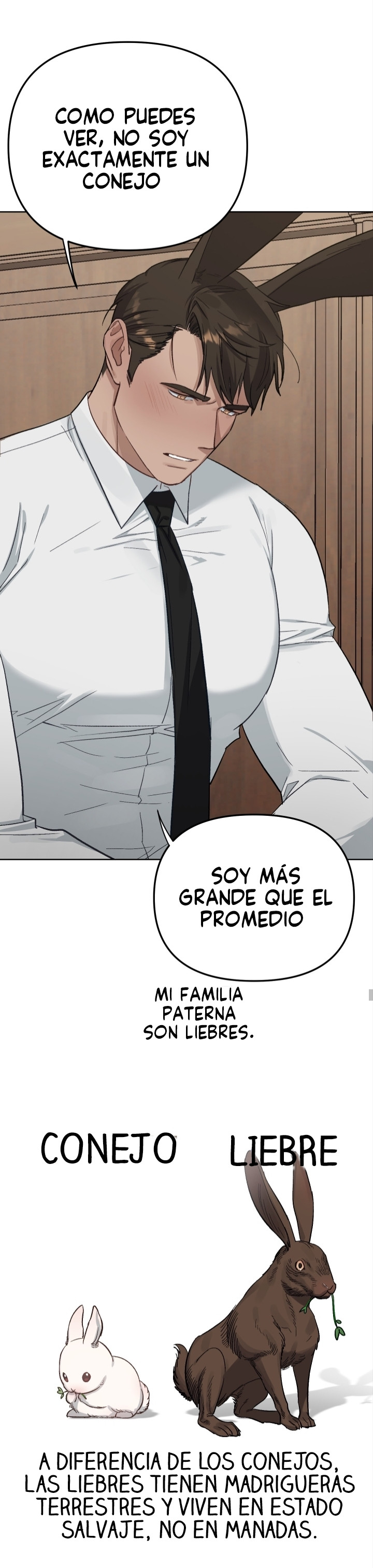 Página 34