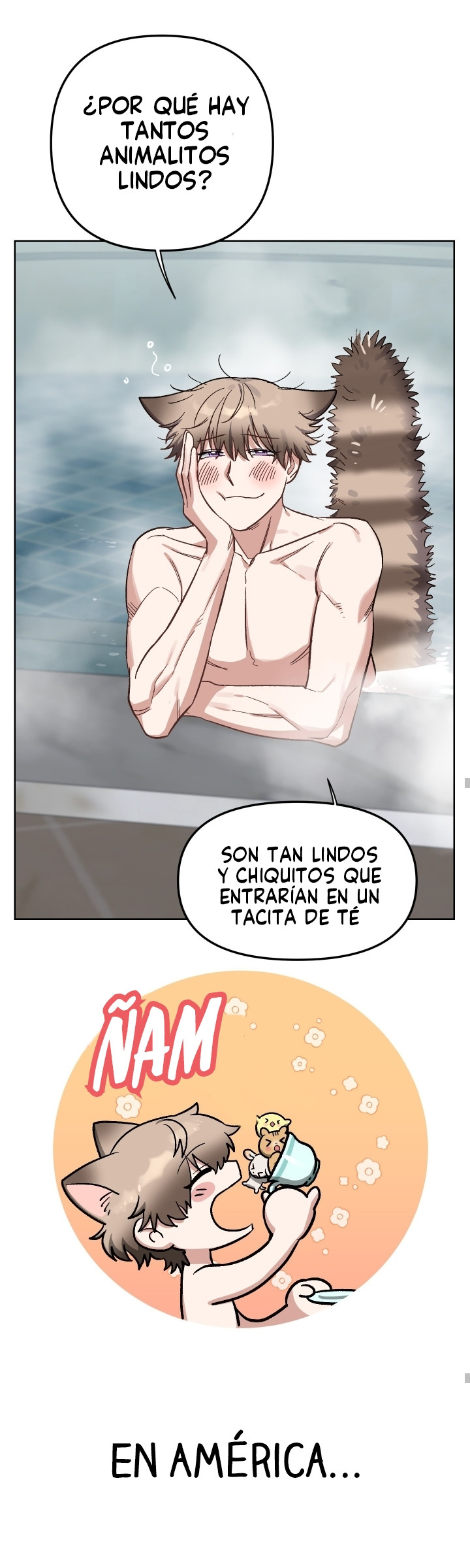 Página 19
