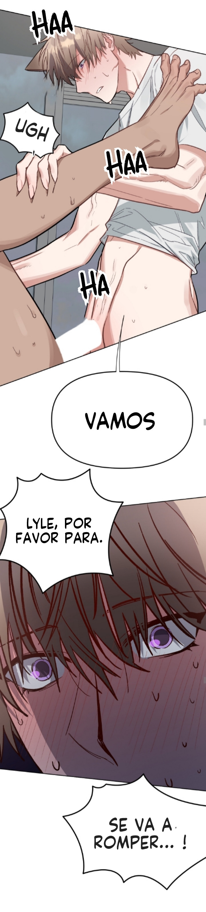 Página 26