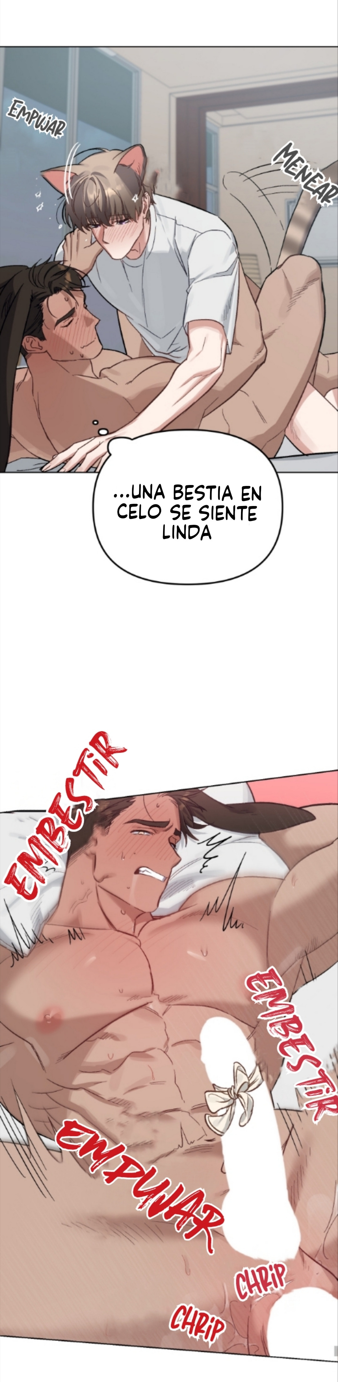 Página 37
