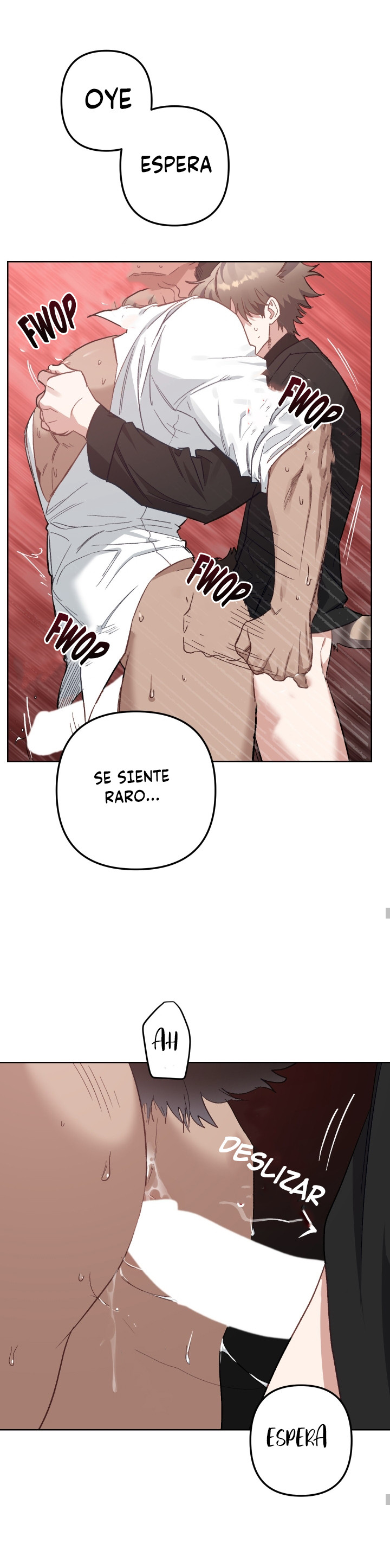 Página 31