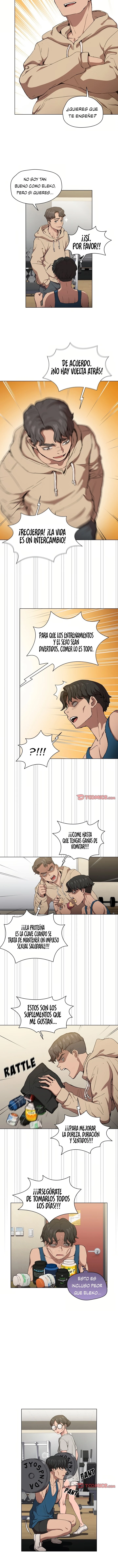 Página 5