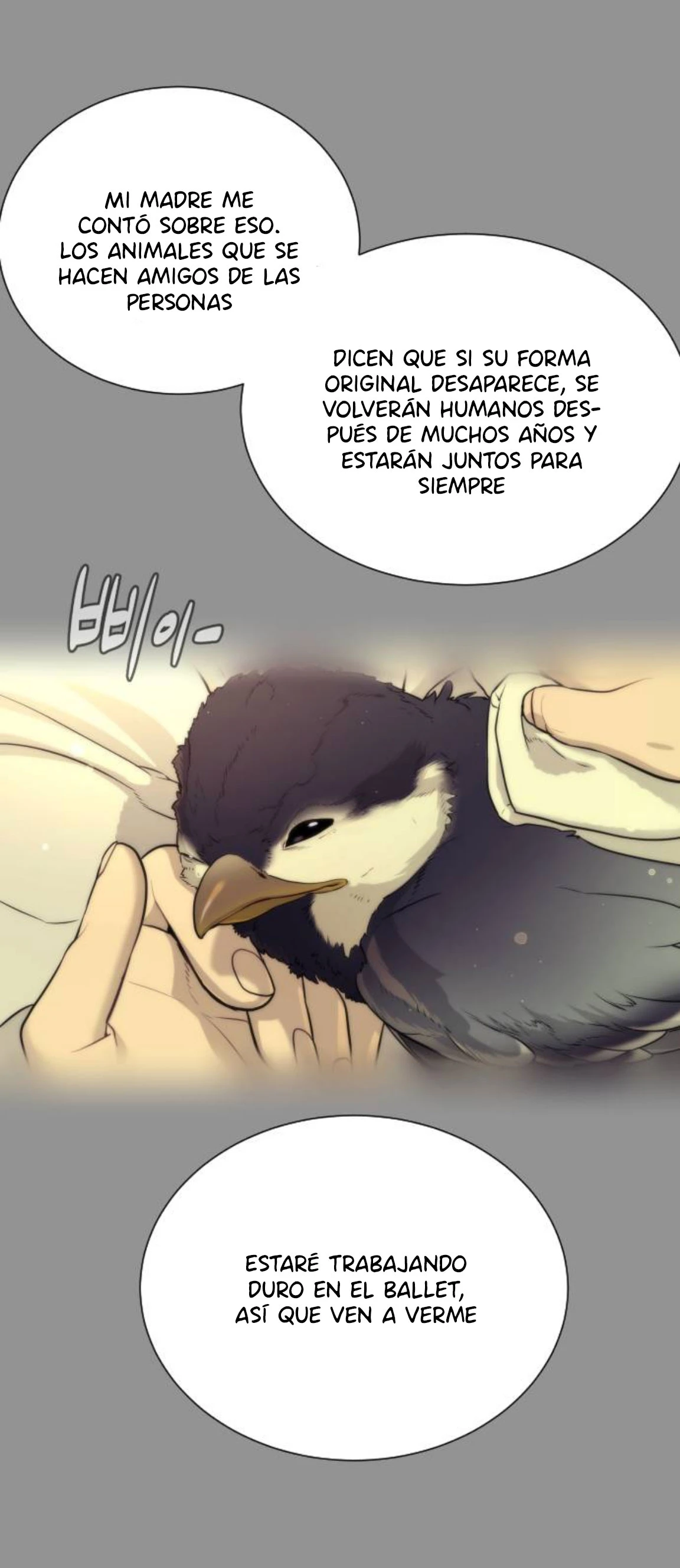 Página 335