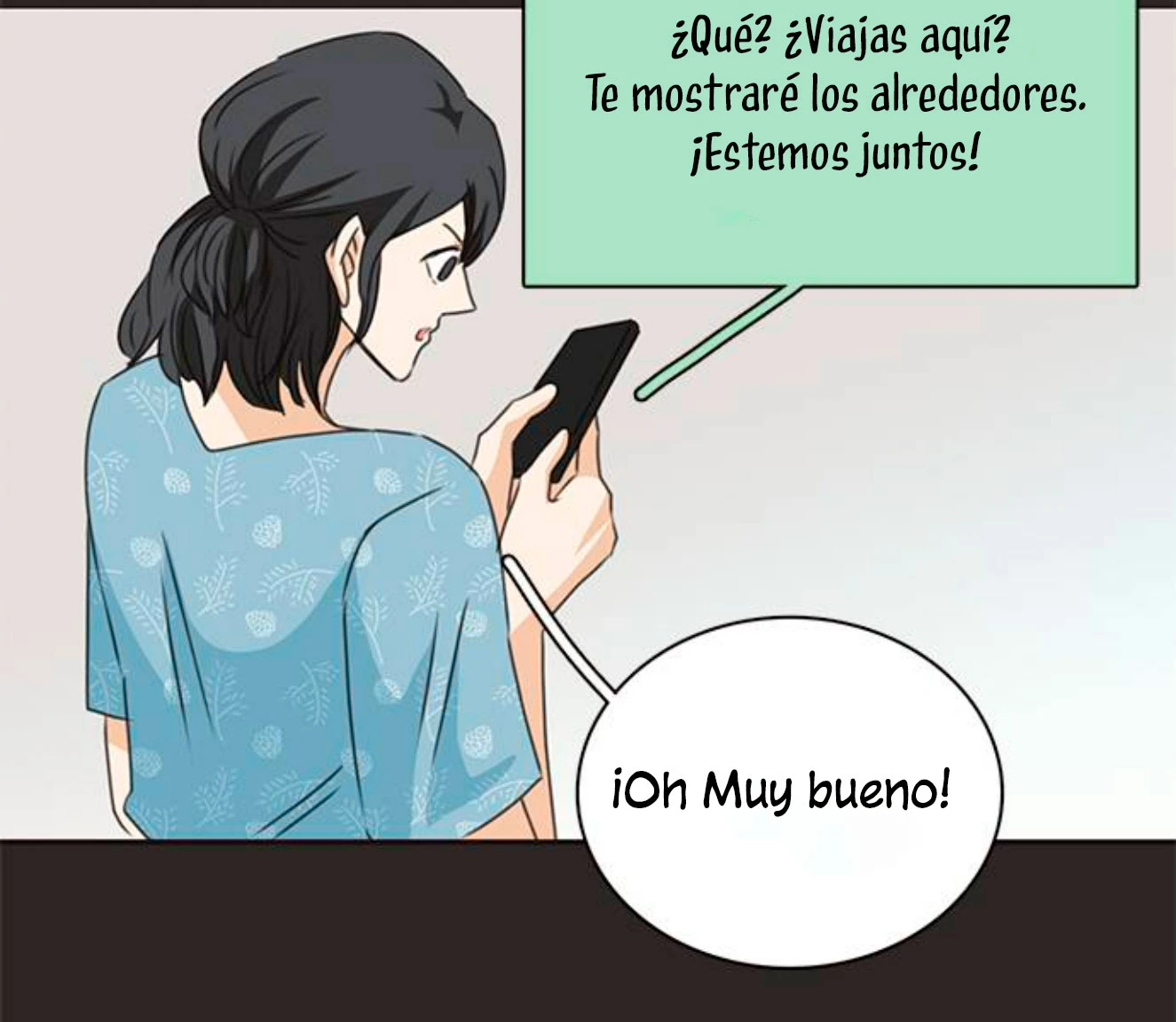 Página 29