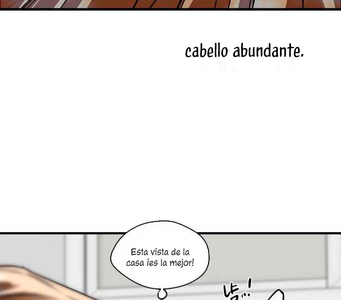 Página 40