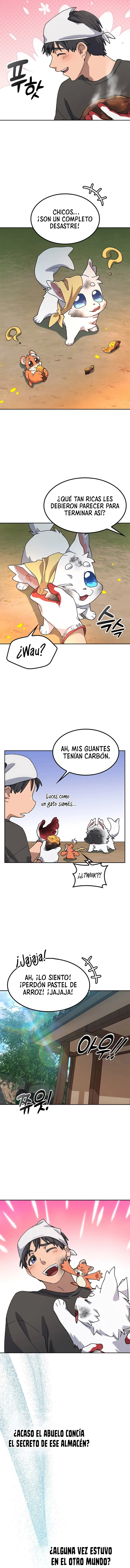 Página 13