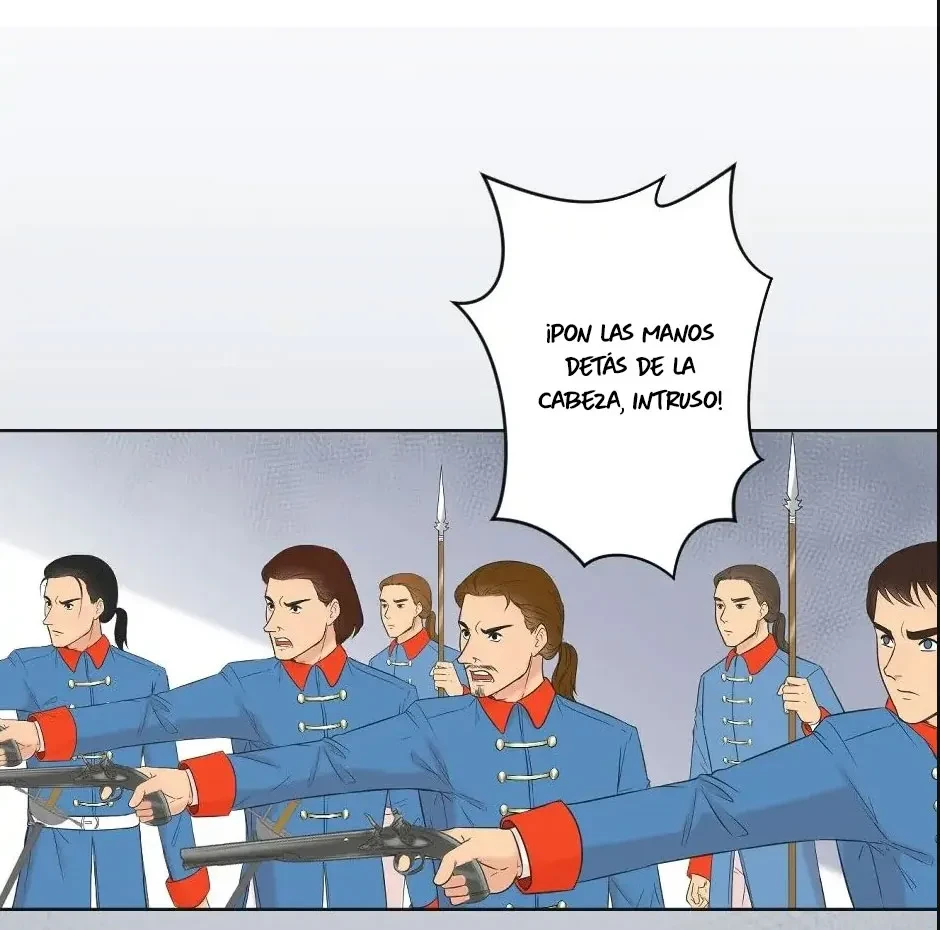 Página 41