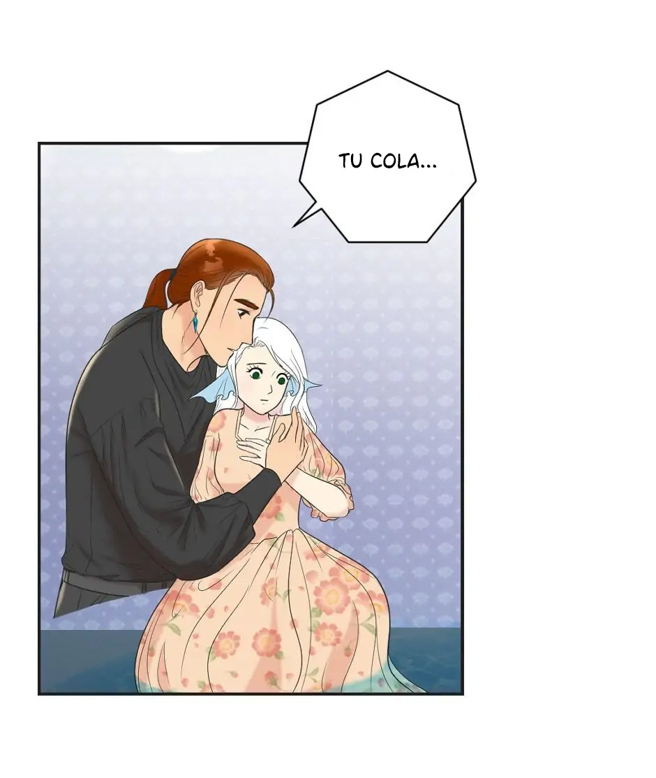 Página 40