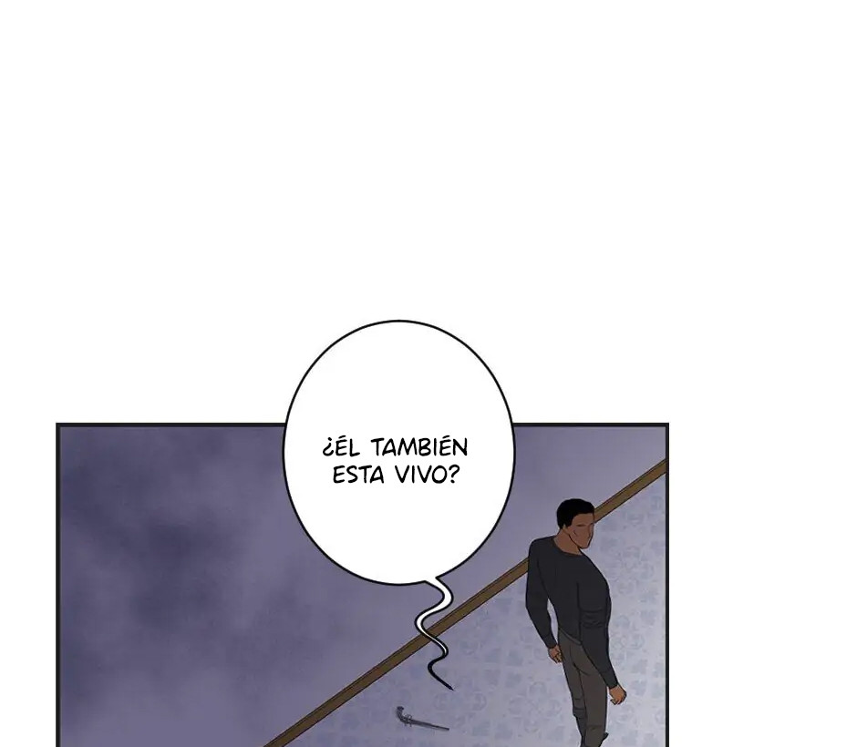 Página 46