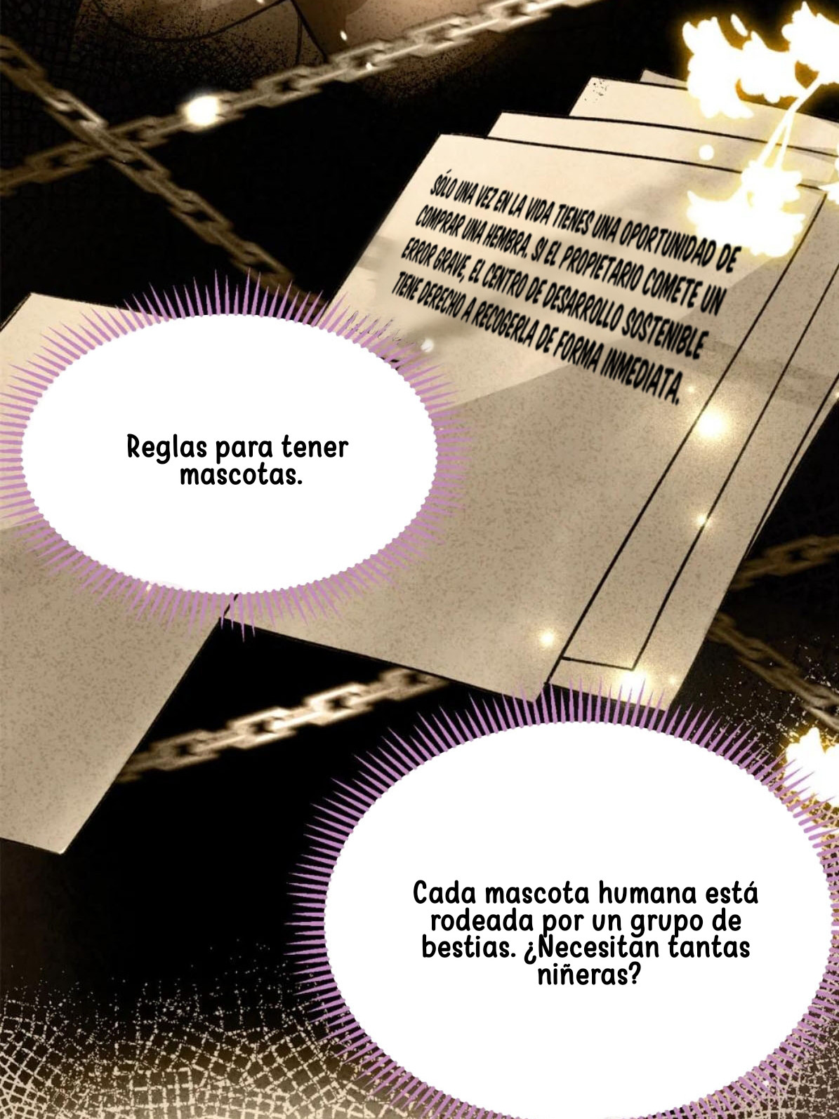 Página 12