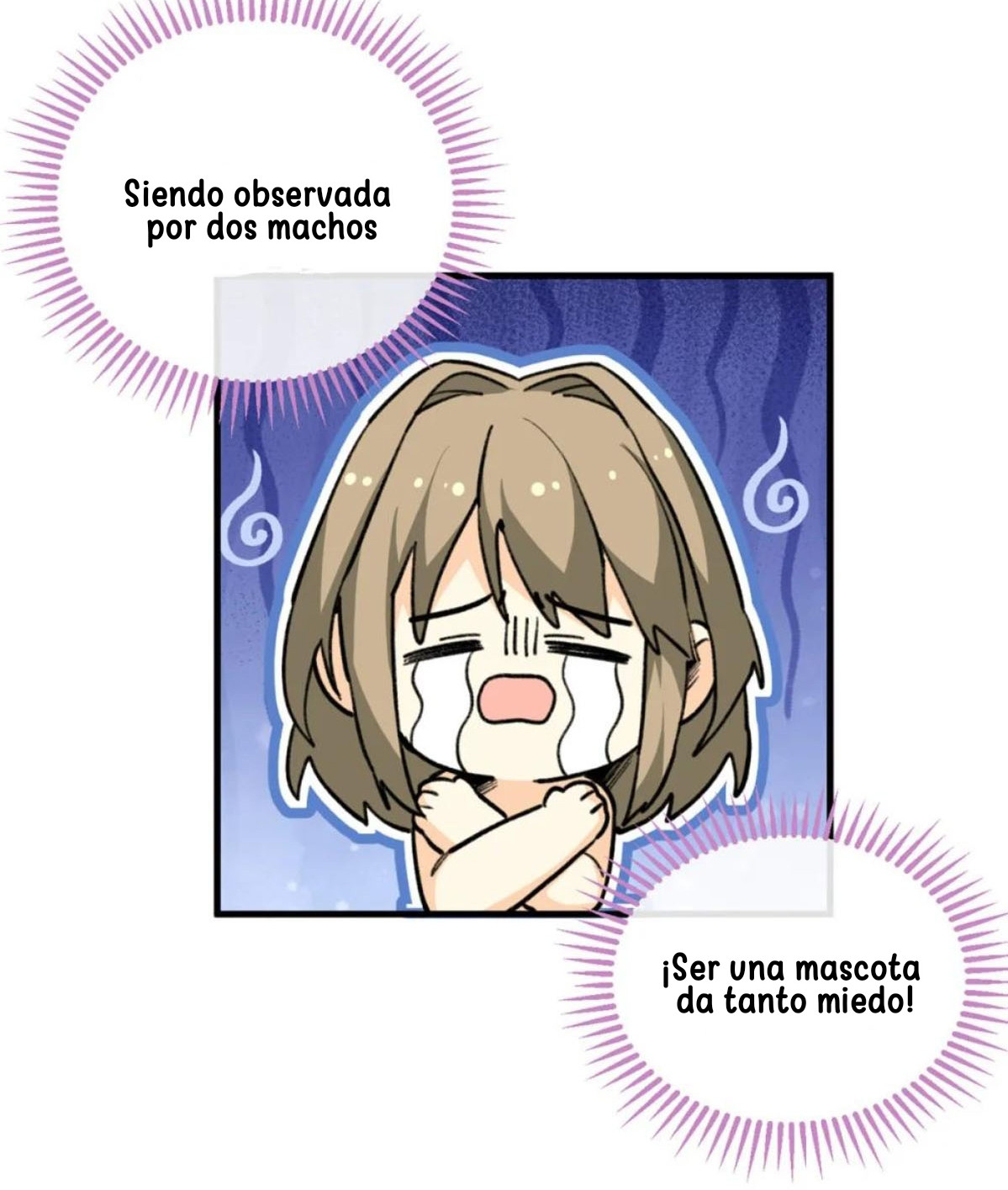 Página 40