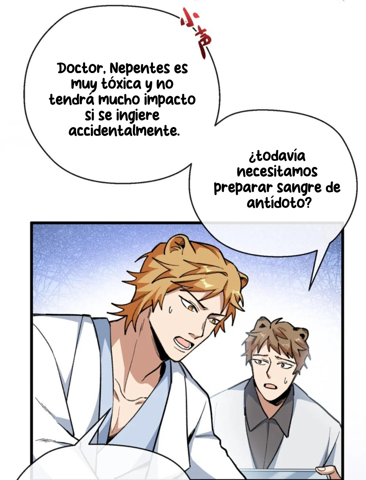 Página 17