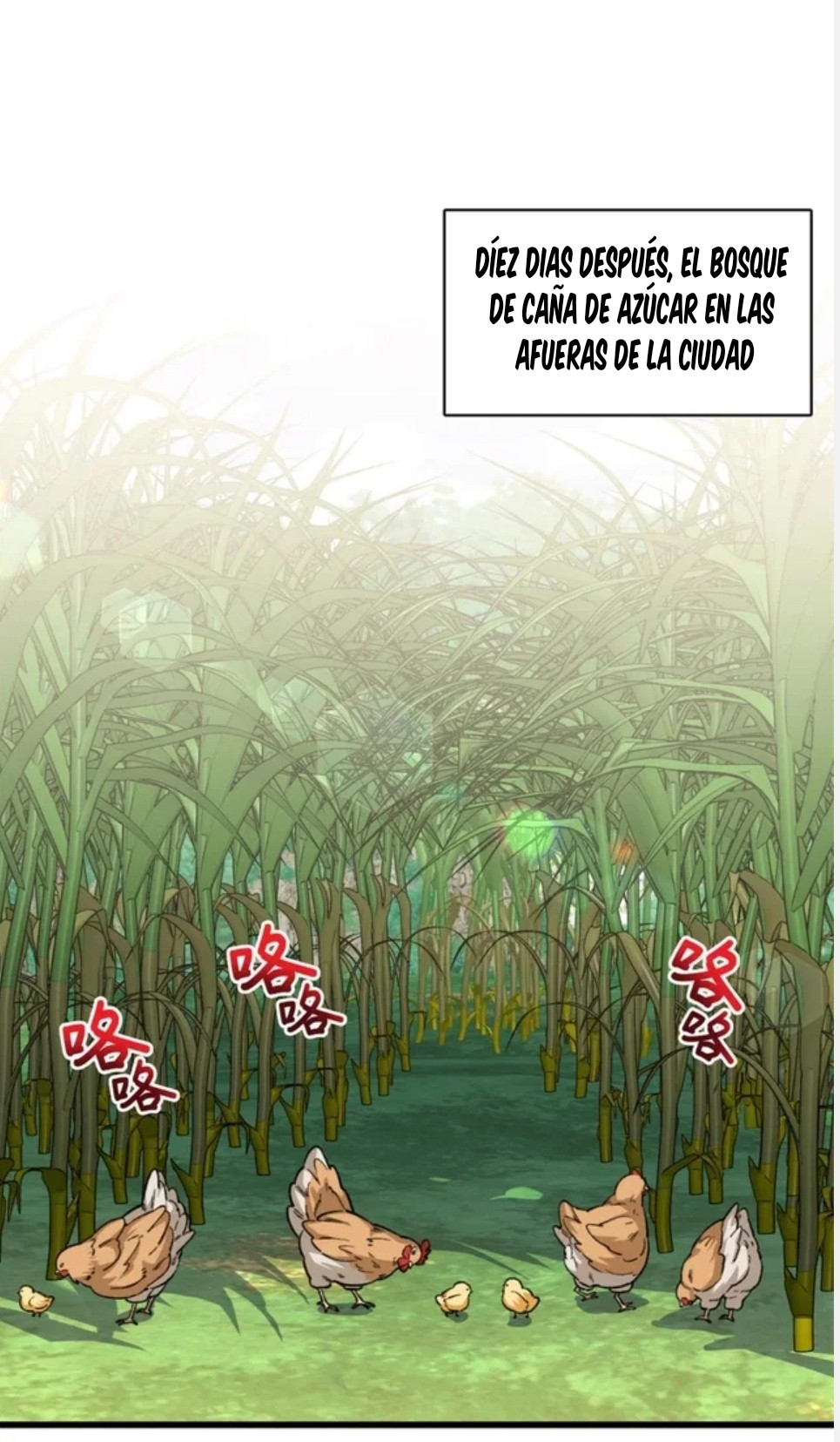 Página 26