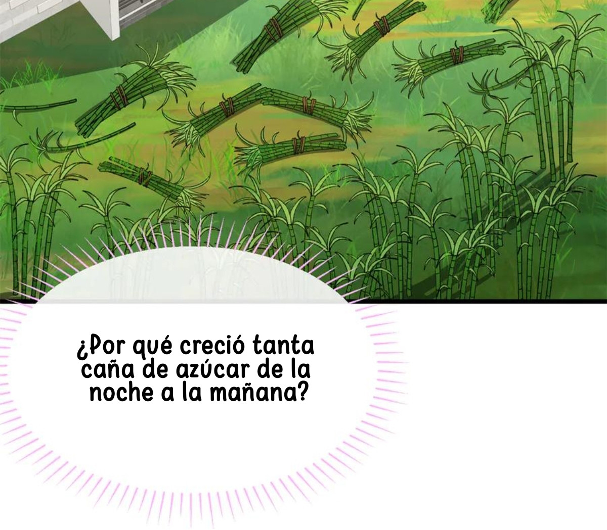 Página 53