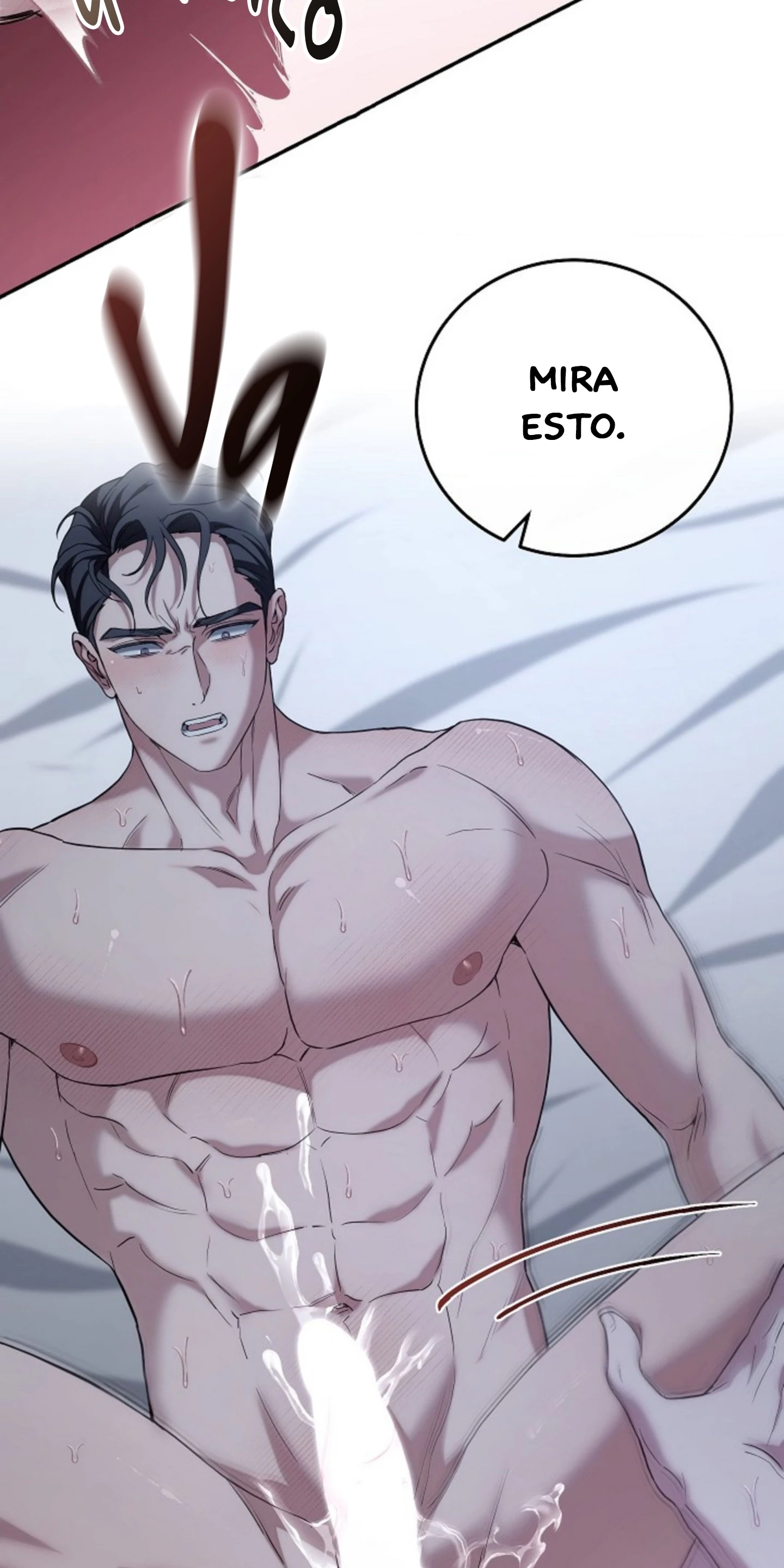 Página 31