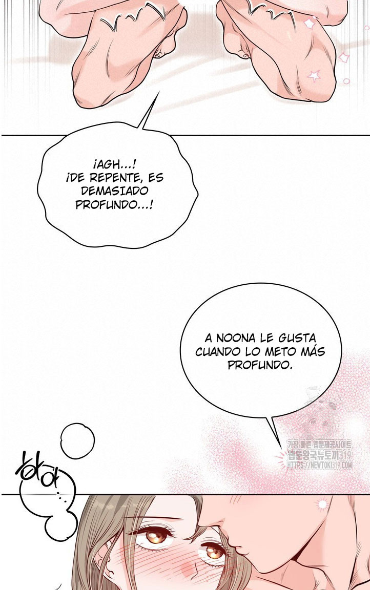 Página 36