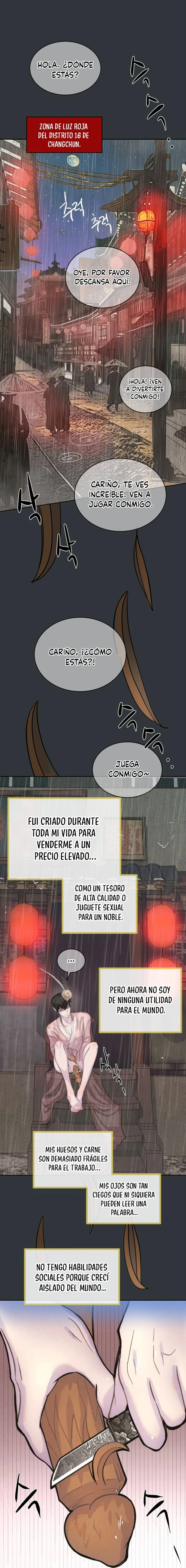 Página 41