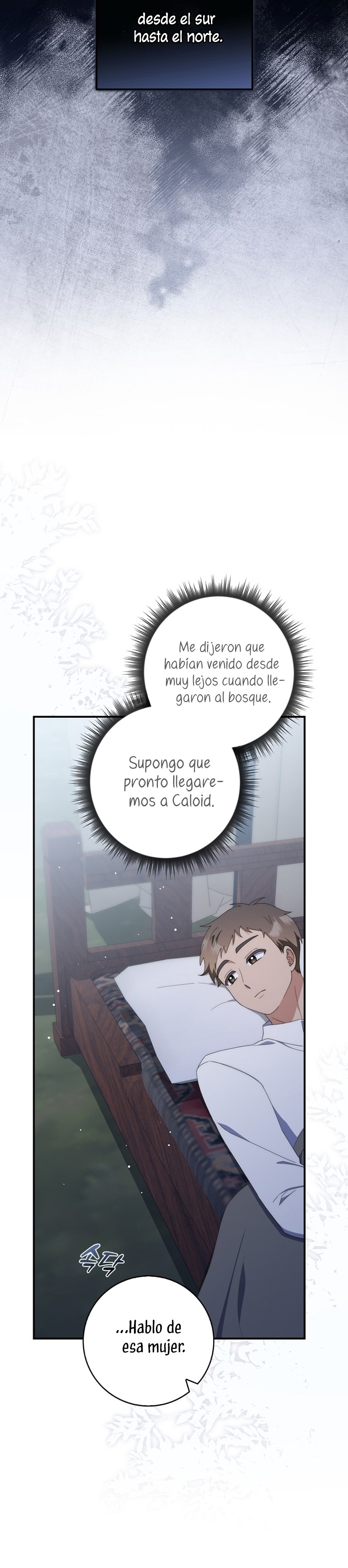 Página 29