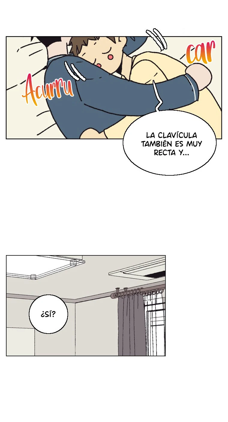 Página 33