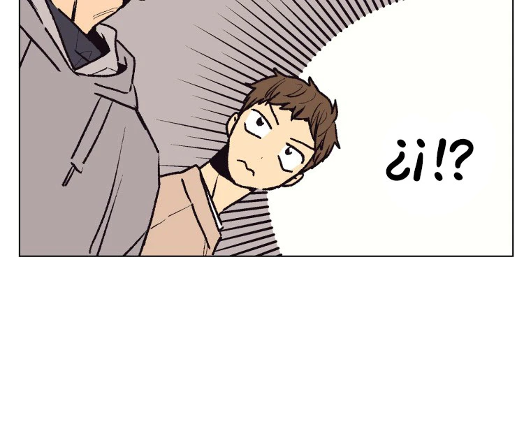 Página 46