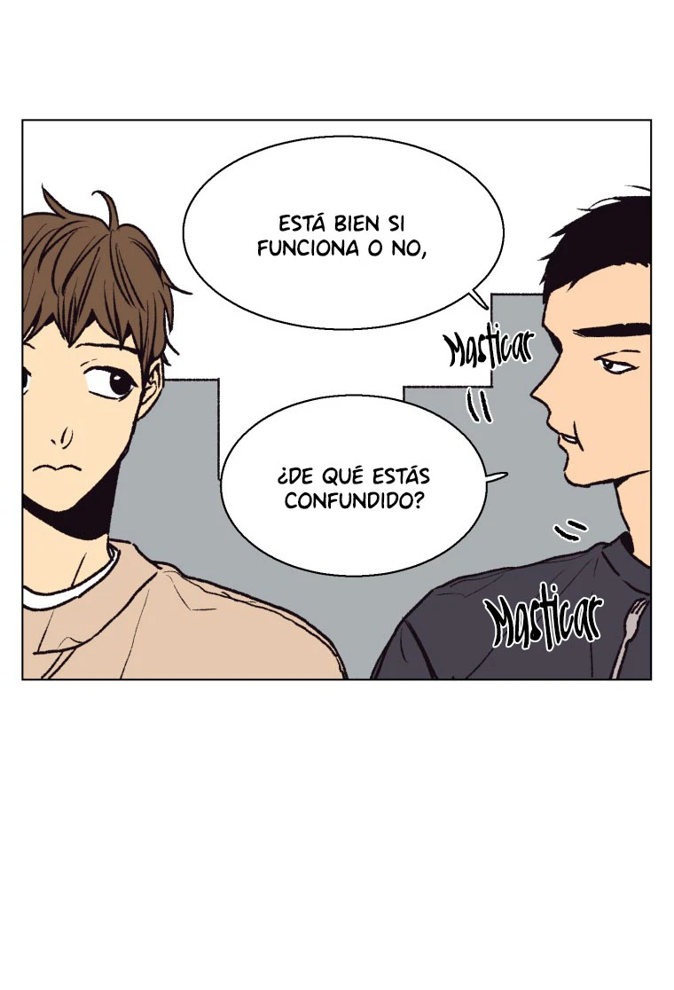 Página 36