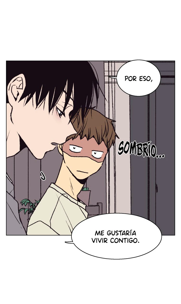 Página 36