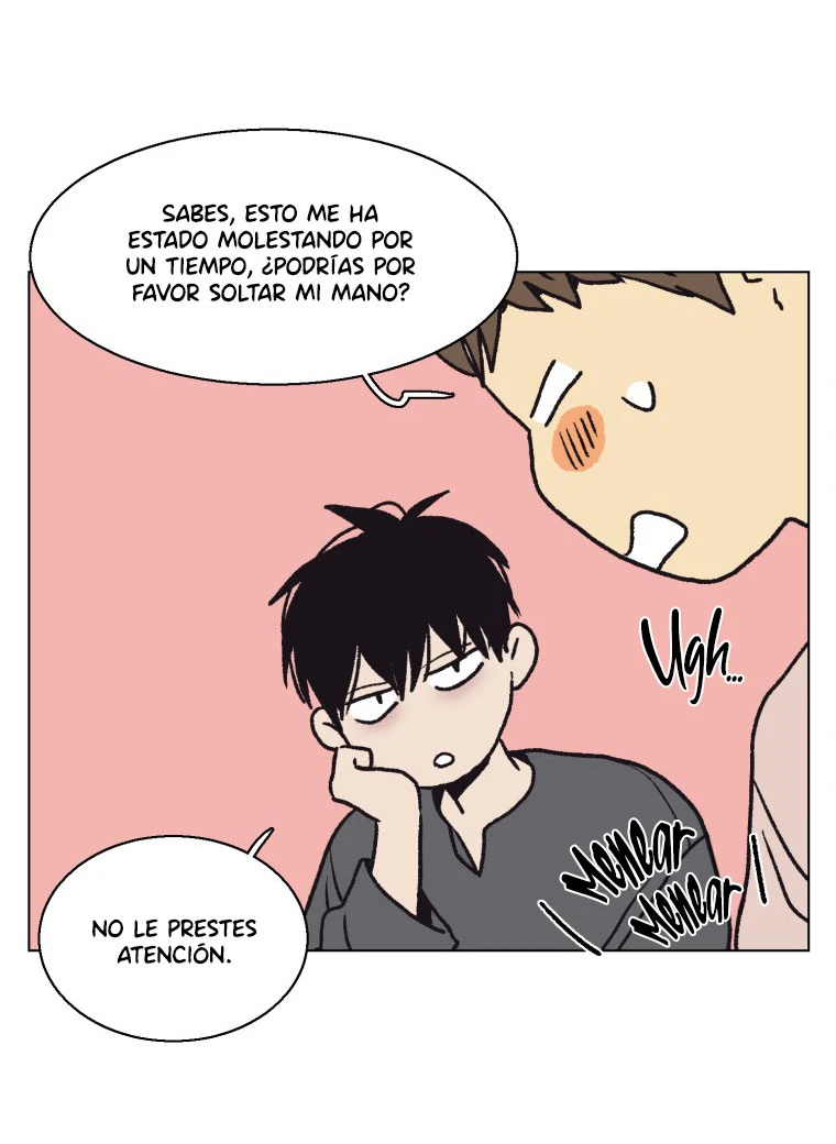 Página 53