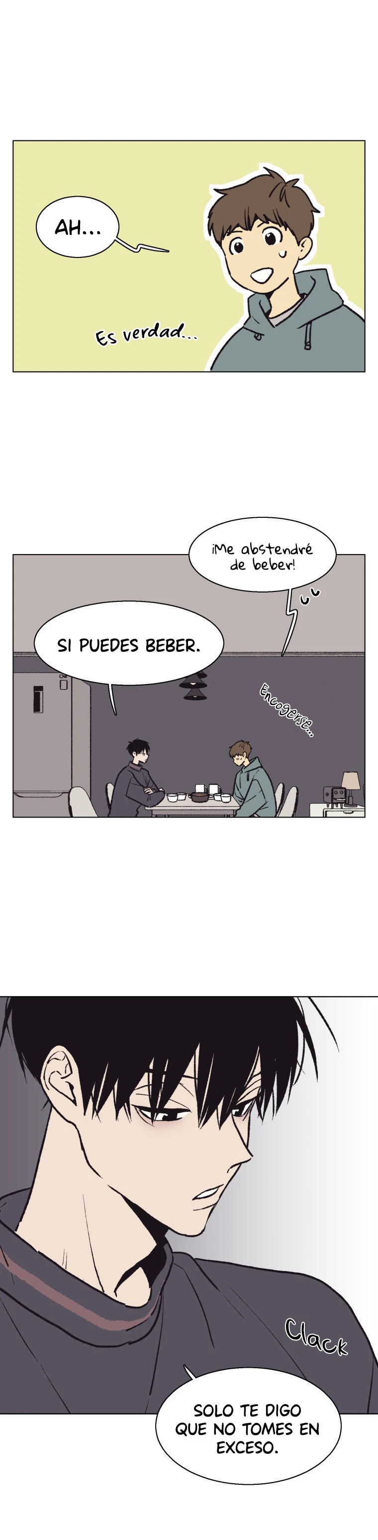 Página 17