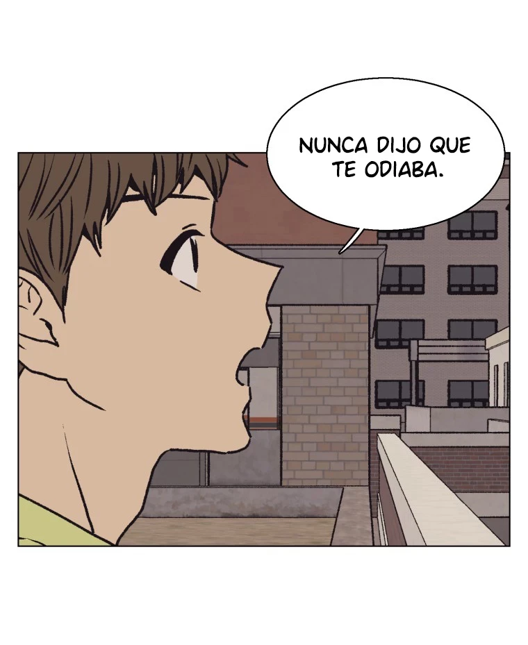 Página 41