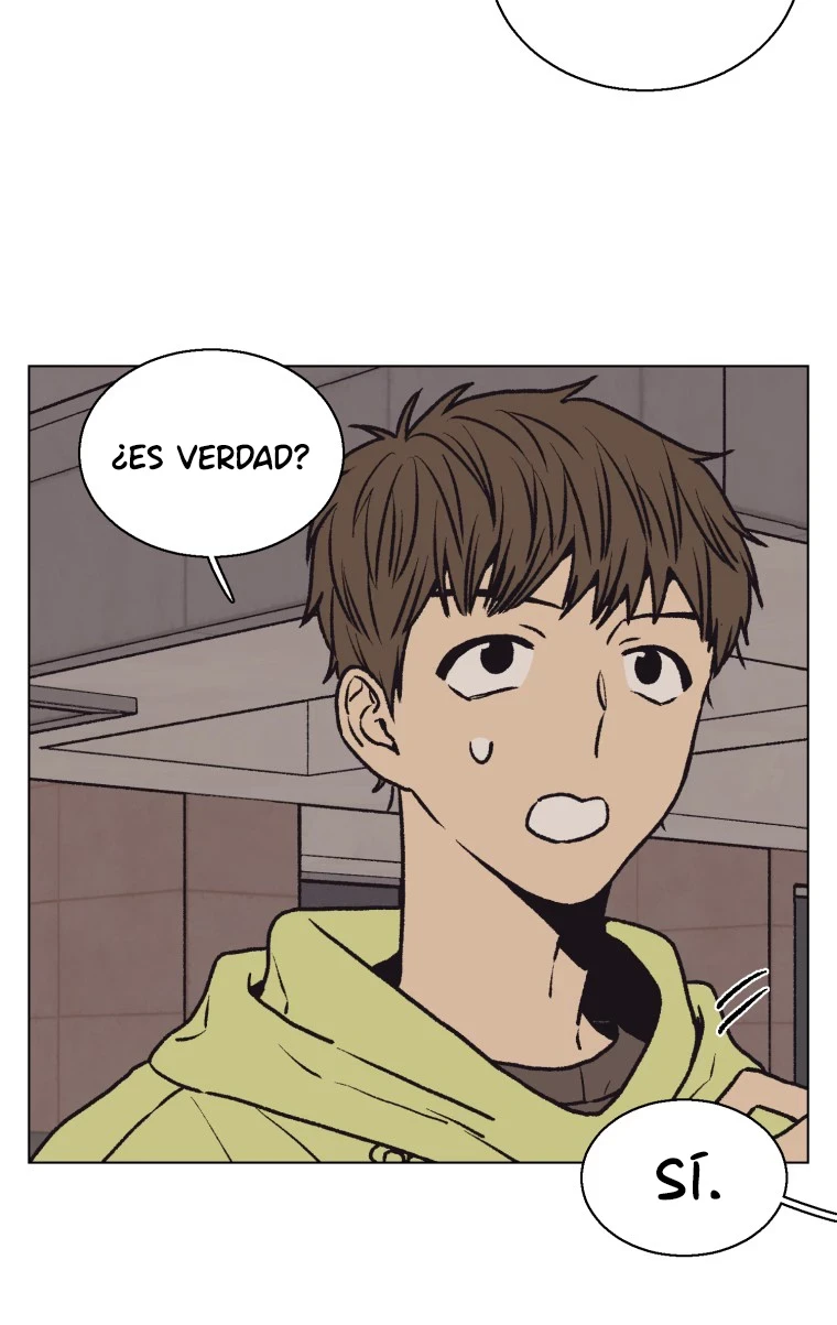 Página 43