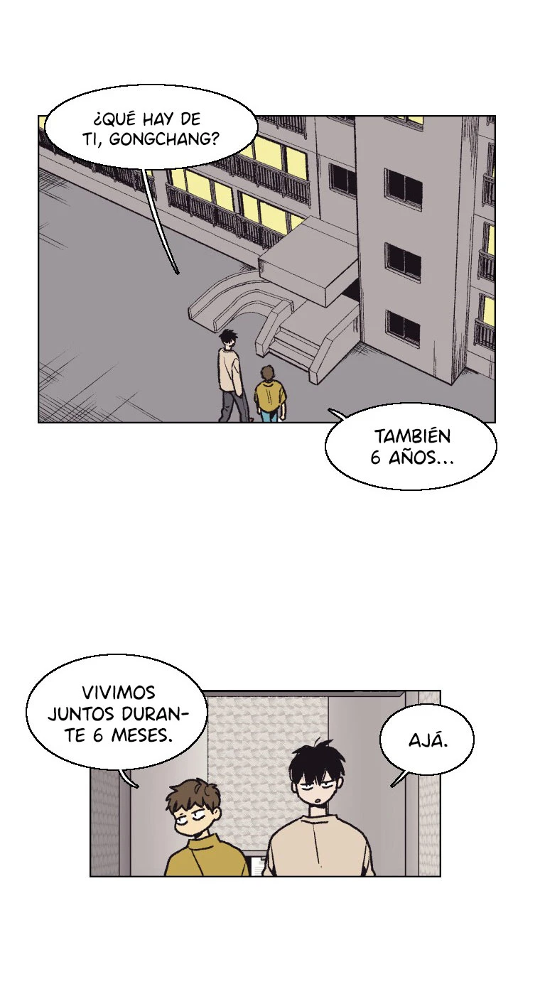 Página 7