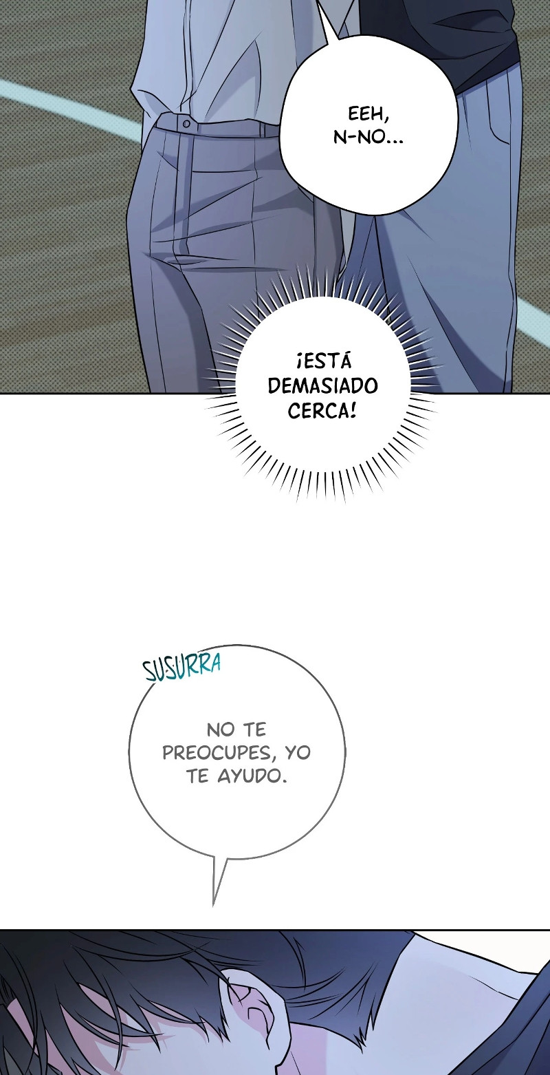 Página 42