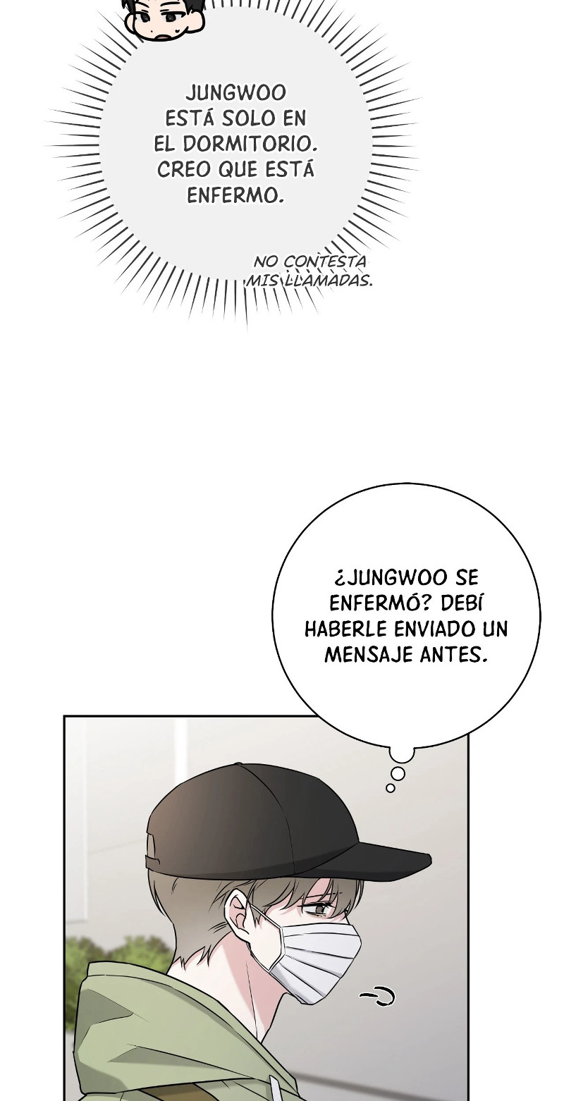 Página 44