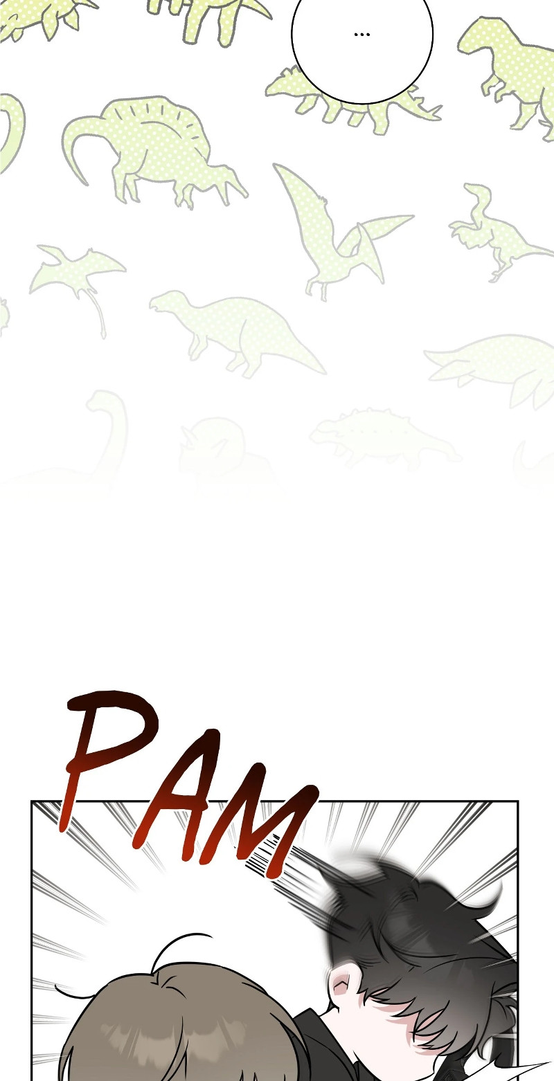 Página 66