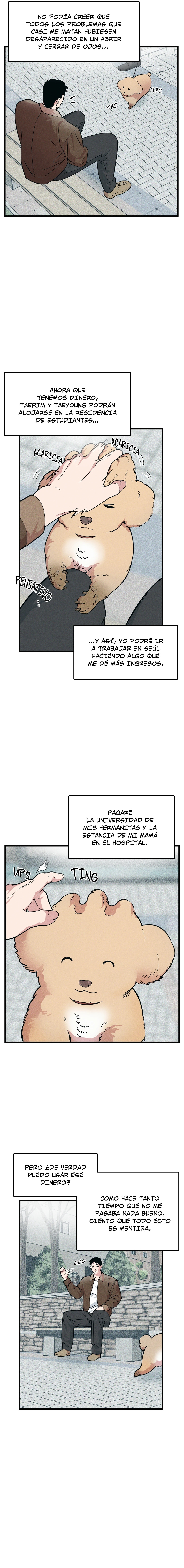 Página 8