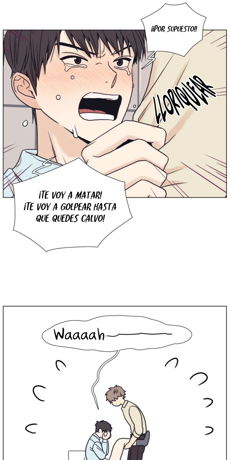 Página 47
