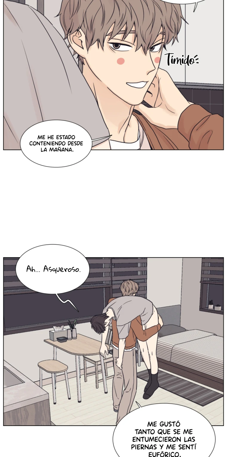 Página 42
