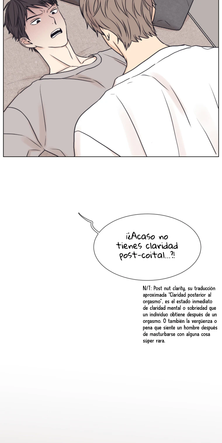 Página 48
