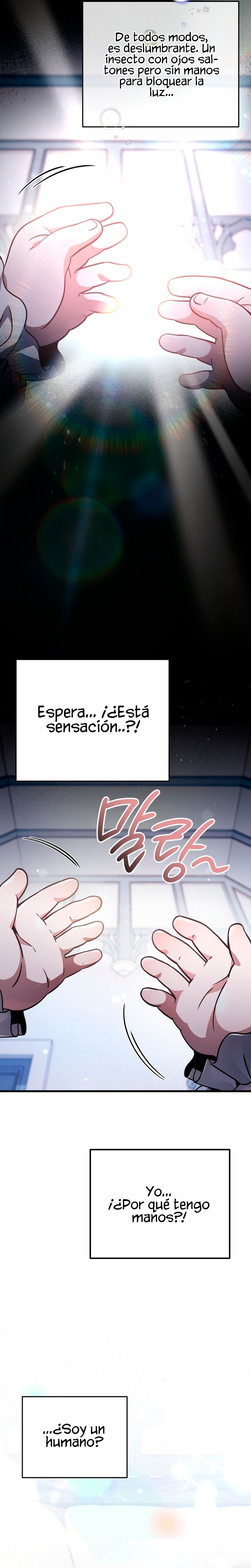 Página 46