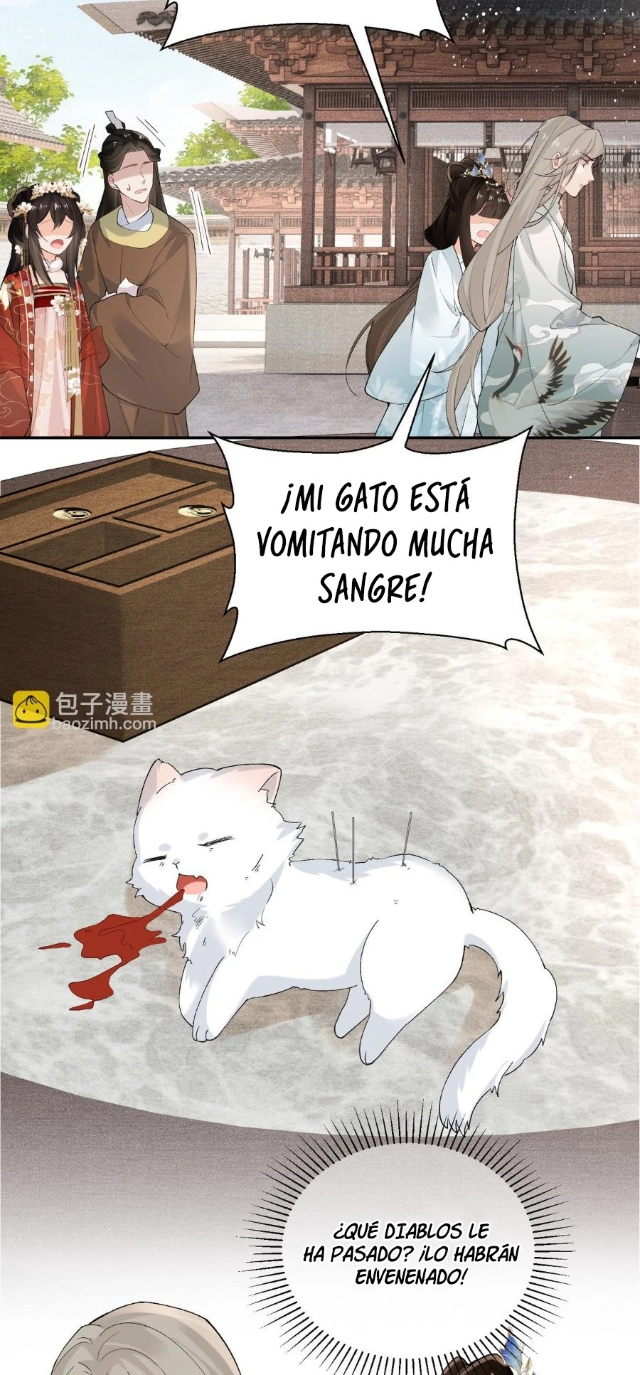 Página 26