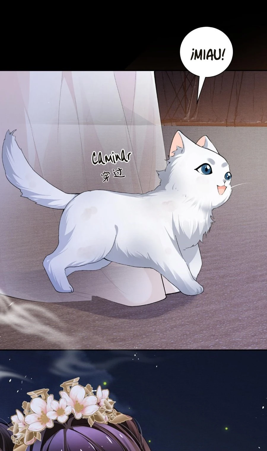 Página 35