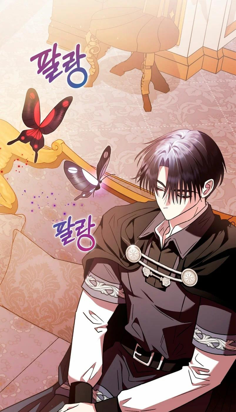 Página 49