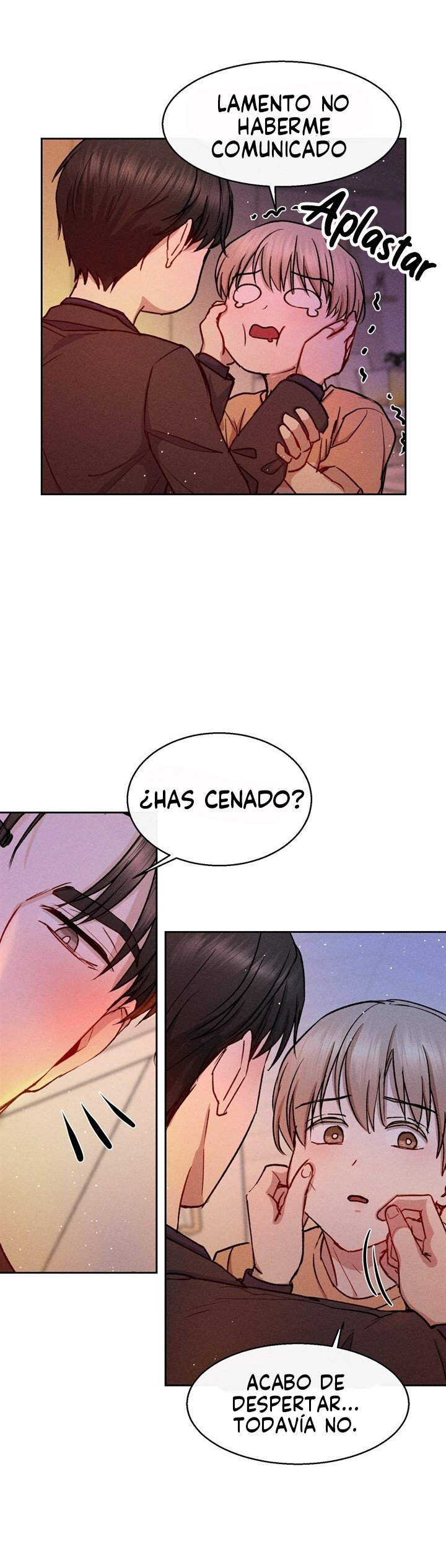 Página 11