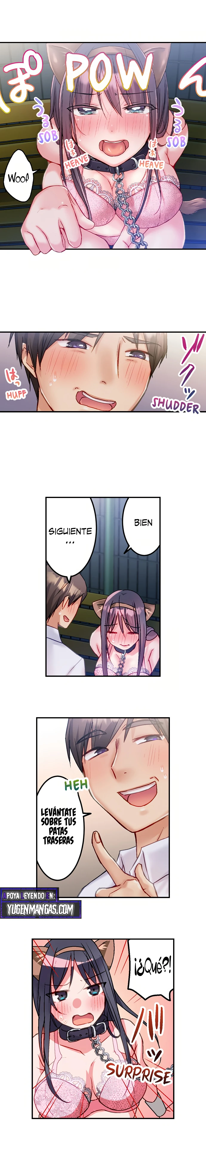 Página 4